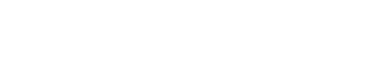 District 11 Logo